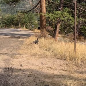 Meet your Posher, Mona